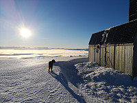 Atomsilda_20181118_5bf17ee972eef.jpg
