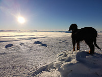 Atomsilda_20181118_5bf17eea0cca8.jpg