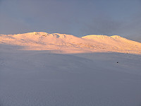 Atomsilda_20190105_5c30c2801a2ed.jpg