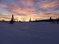 Atomsilda_20190105_5c30c28091d1c.jpg