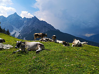 Atomsilda_20190728_5d3dabba3653d.jpg