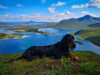 Atomsilda_20190804_5d471e84141af.jpg