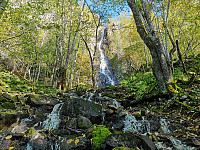 Atomsilda_20190929_5d90fa425278b.jpg