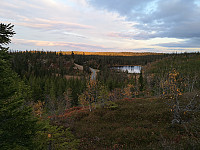 Atomsilda_20191001_5d93a3d4807ae.jpg