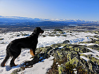 Atomsilda_20191005_5d98ded678acd.jpg