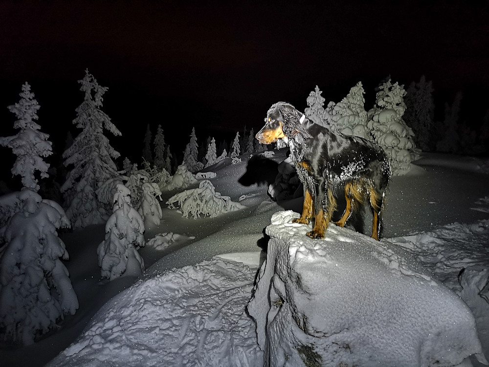 Tjuvåskampen 