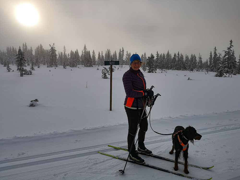 På Tjuvåsen
