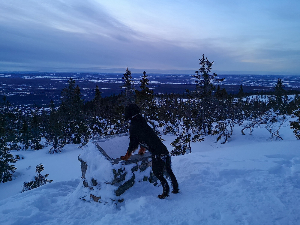 Blåtimen på Tjuvåskampen. Kl er nå ca. 17