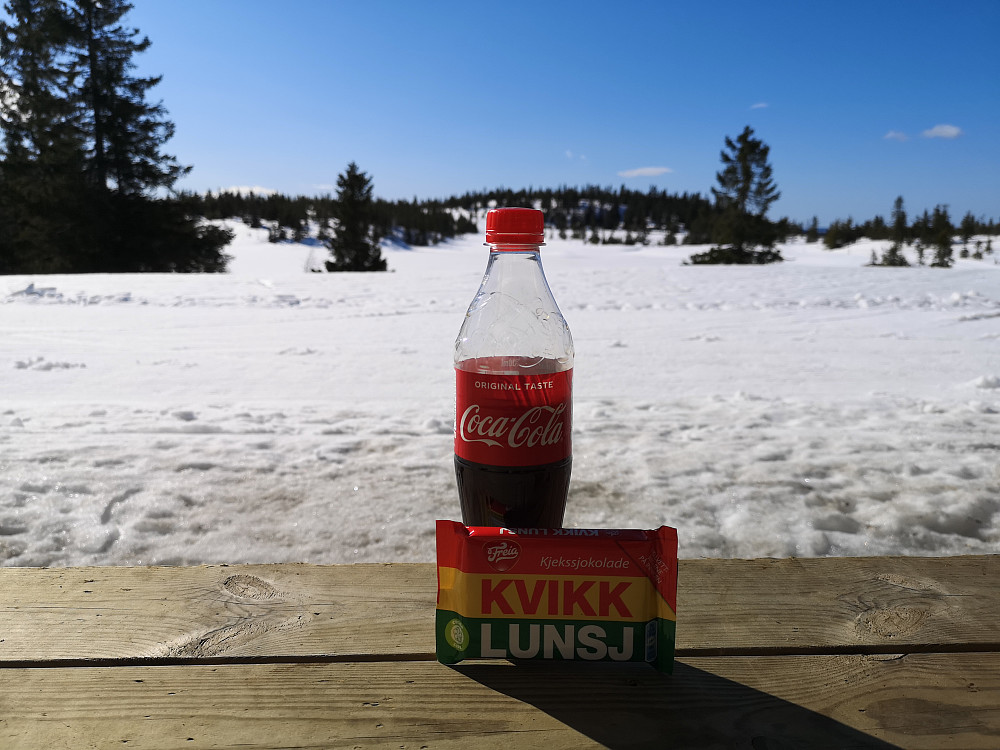 Ved Rausteinshytta.. helt alene med Embla