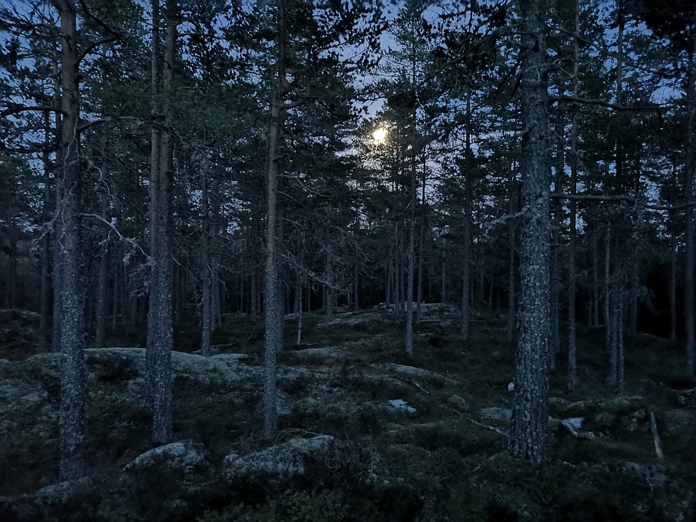 Fullmåne