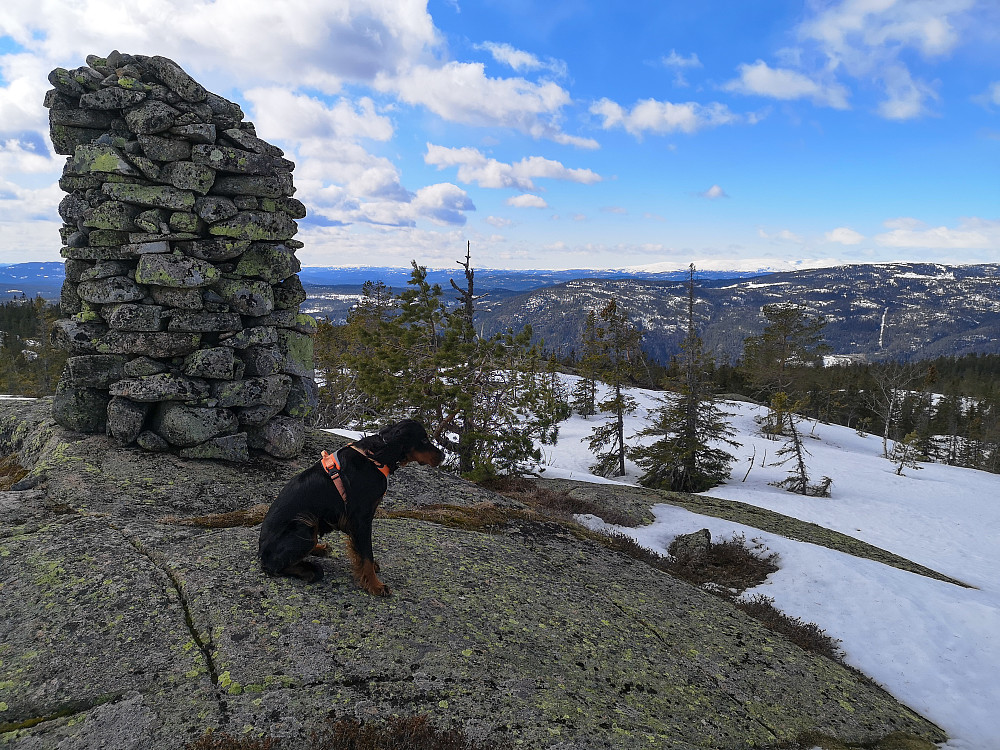 Fjøsvikfjellet 
