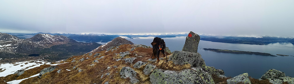 Utsikt mot Molde og innover Romsdalsfjorden. Bildet tatt tett ved Opstadhornet. 