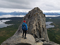 Atomsilda_20200711_5f09ffd4b3728.jpg