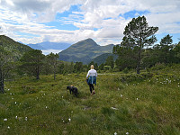 Atomsilda_20200724_5f1b08b04712a.jpg