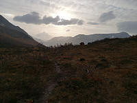 Atomsilda_20201003_5f78bd9f9e66a.jpg