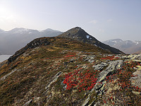 Atomsilda_20201003_5f78bdbd12409.jpg