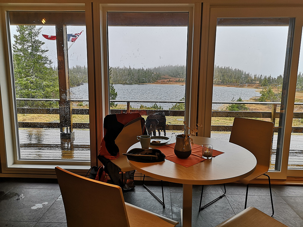 Varmt og godt innendørs... vått og kaldt ute hos Embla