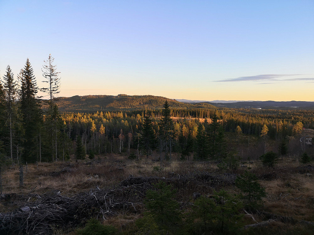 Skonhovdhøgda i det fjerne. 