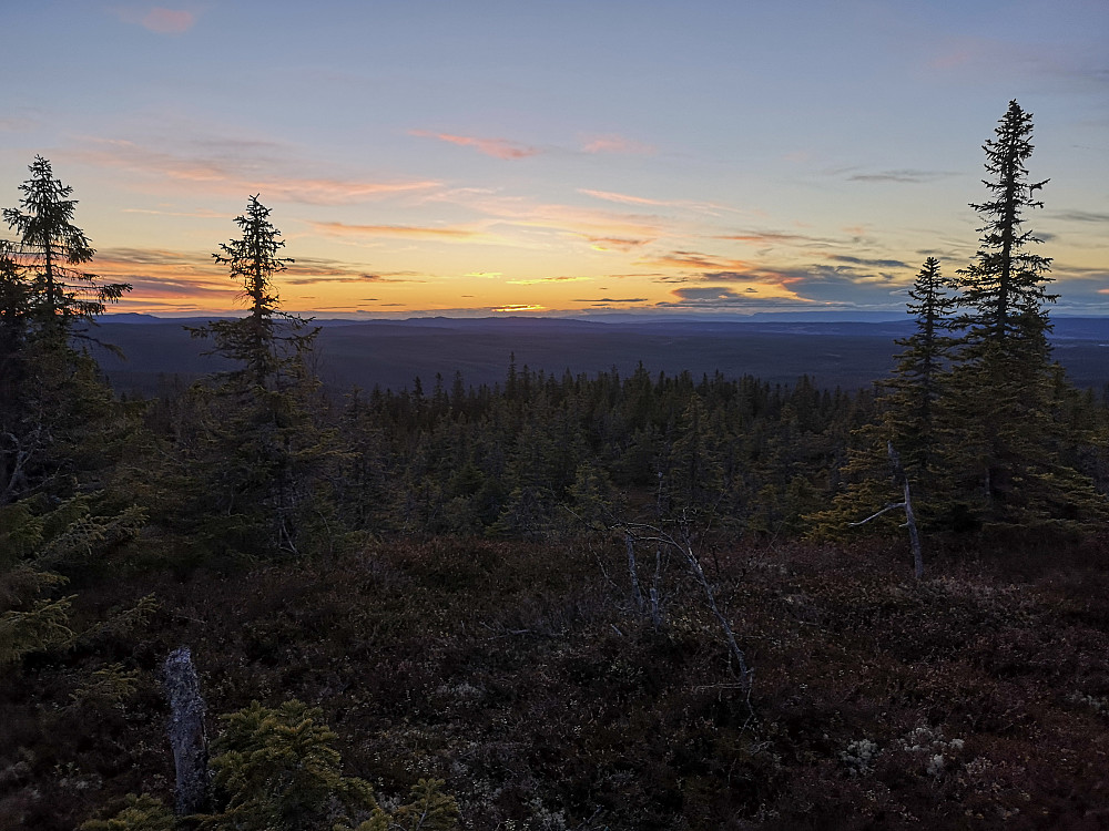 På Tjuvåsen