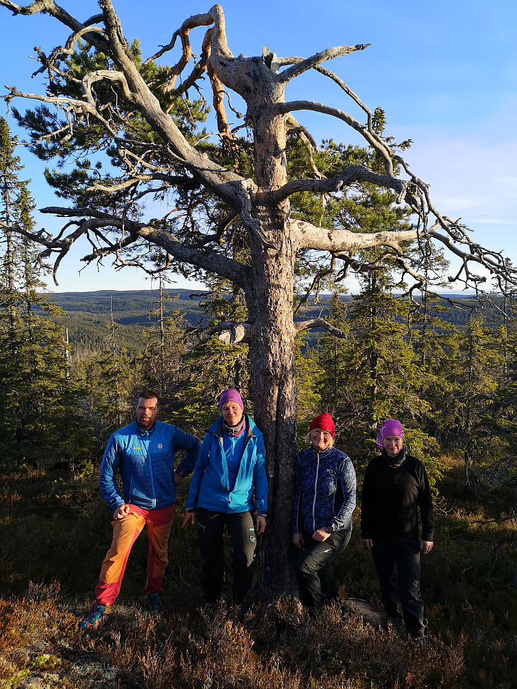 På Høvervollskampen 