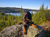Atomsilda_20201108_5fa80cf26f7fc.jpg