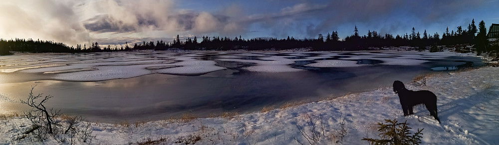Ved Rausteinstjernet 