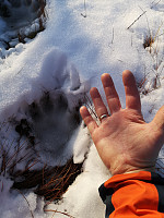 Atomsilda_20201121_5fb93f258f6ef.jpg