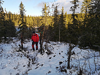 Atomsilda_20201121_5fb93f2ad8ab4.jpg