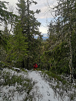 Atomsilda_20201121_5fb93f2e022b4.jpg