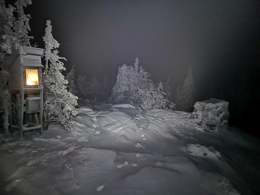 Tjuvåskampen