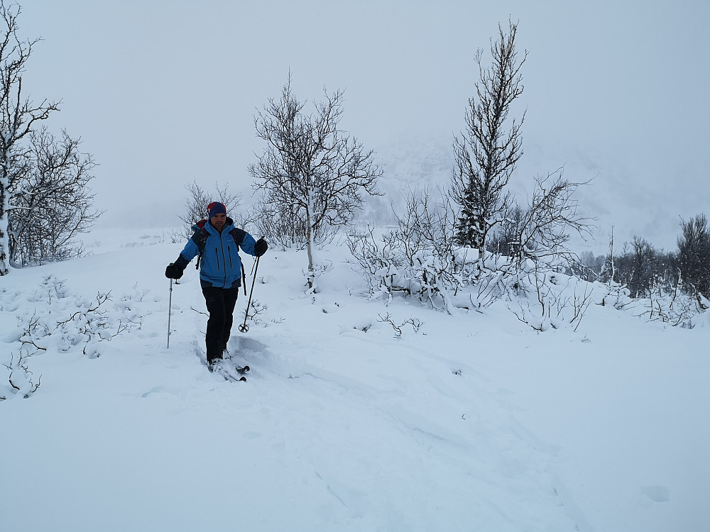 Mr. Helgesen på fjellski uten feller. 