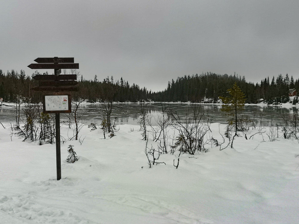 Ved Hutjernet. Håp om skøyteis nå om det fryser på før det kommer nysnø. 