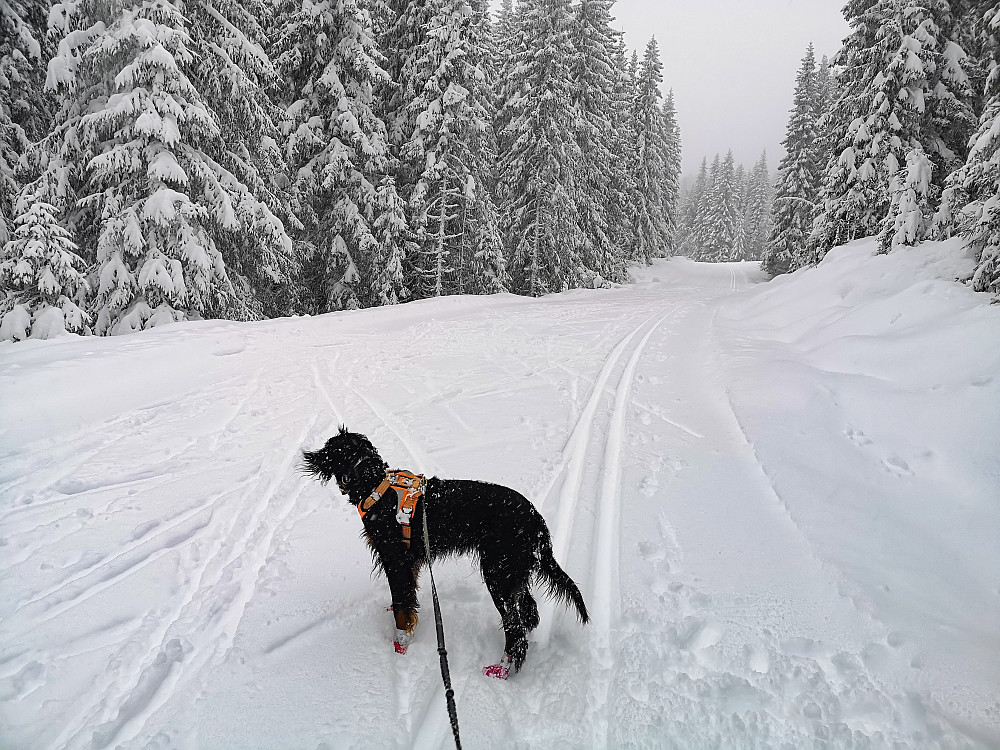 Klare for tur... det snør og det snør.. 