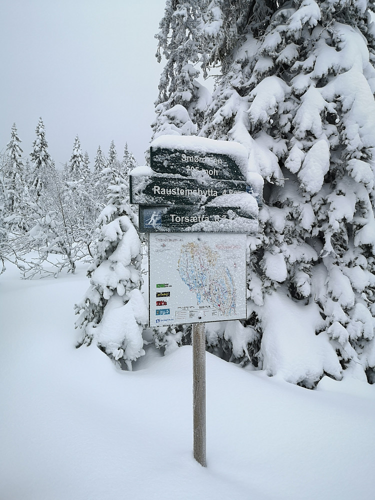 Ved Smørdalen. Før nedkjøring til Anfinnsetra og Torsetra