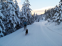 Atomsilda_20210110_5ffb1d86efefc.jpg