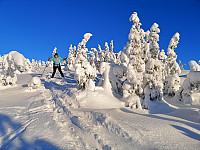 Atomsilda_20210110_5ffb1d8bc2bb3.jpg