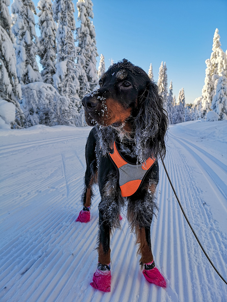 The one and only.... Embla