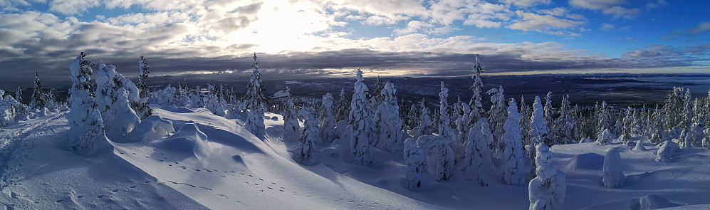 På Tjuvåskampen 