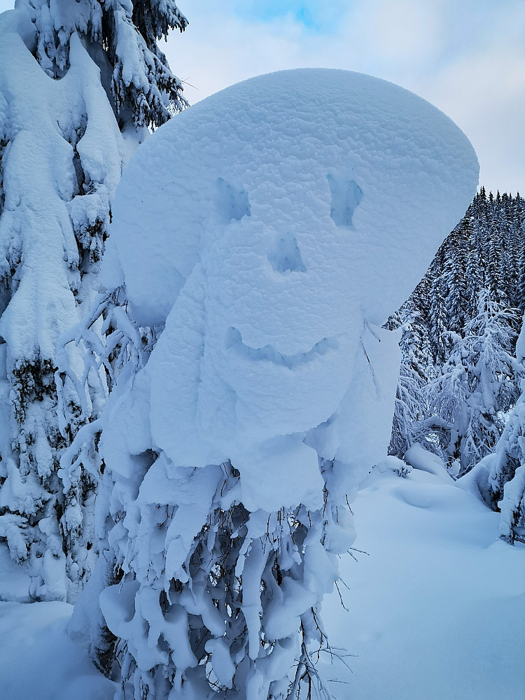 En blid kar på Åsen