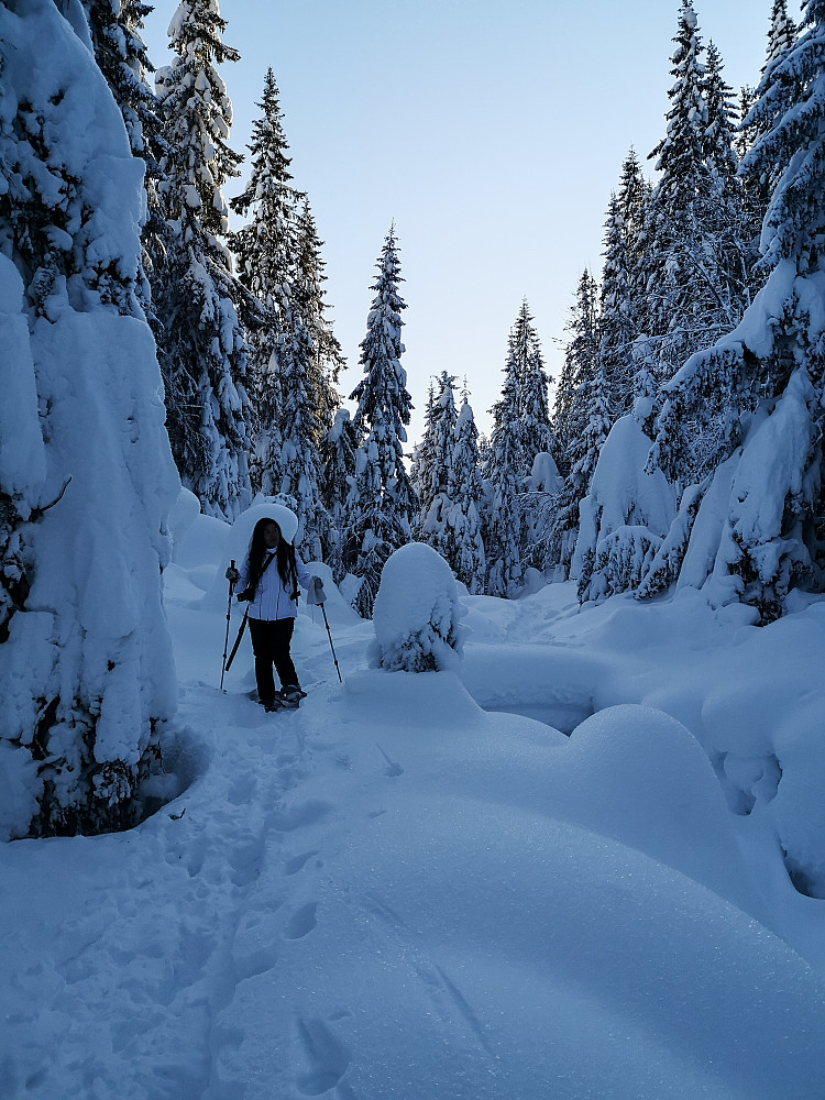 Langs Fløyteelva