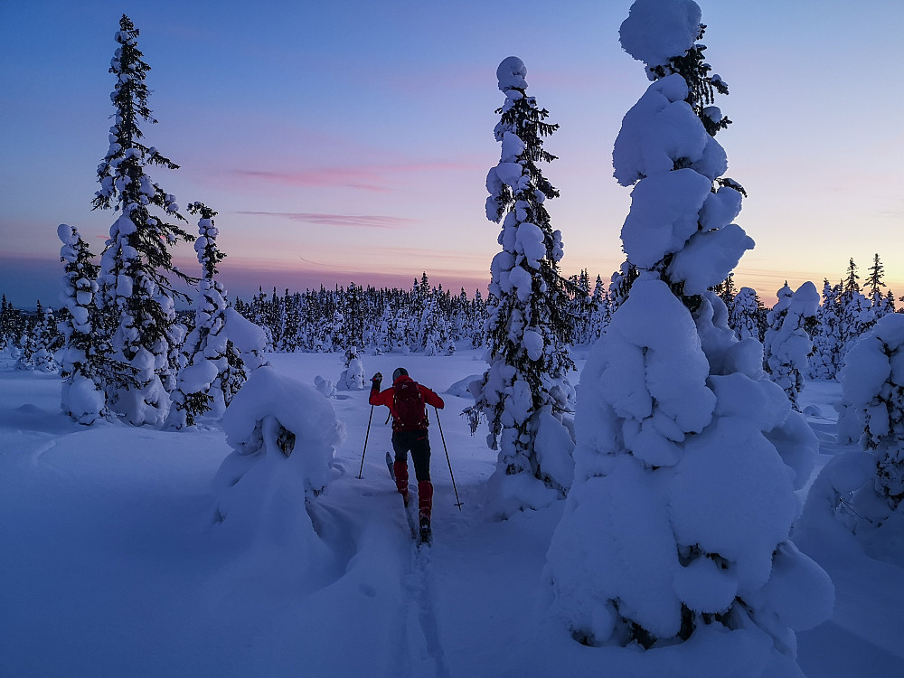 Fra Skreifjellet mot Høgbrenna 