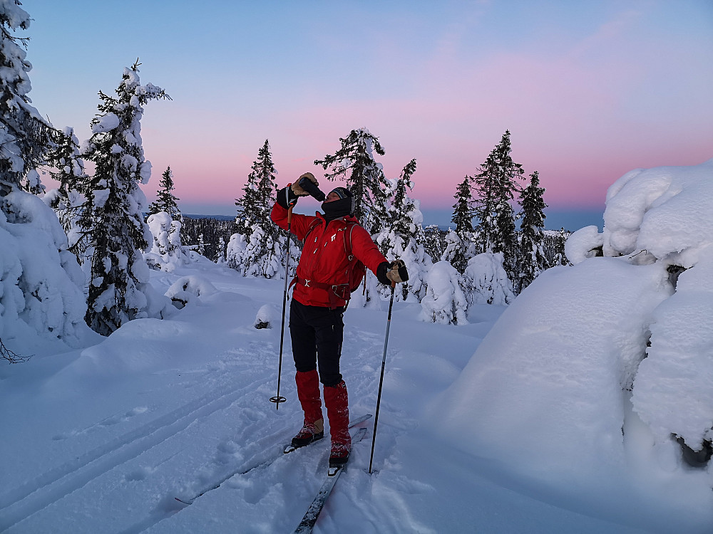 På Skreifjellet 