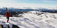 Atomsilda_20210307_604548c843b5e.jpg