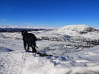 Atomsilda_20210307_604548ca27b67.jpg