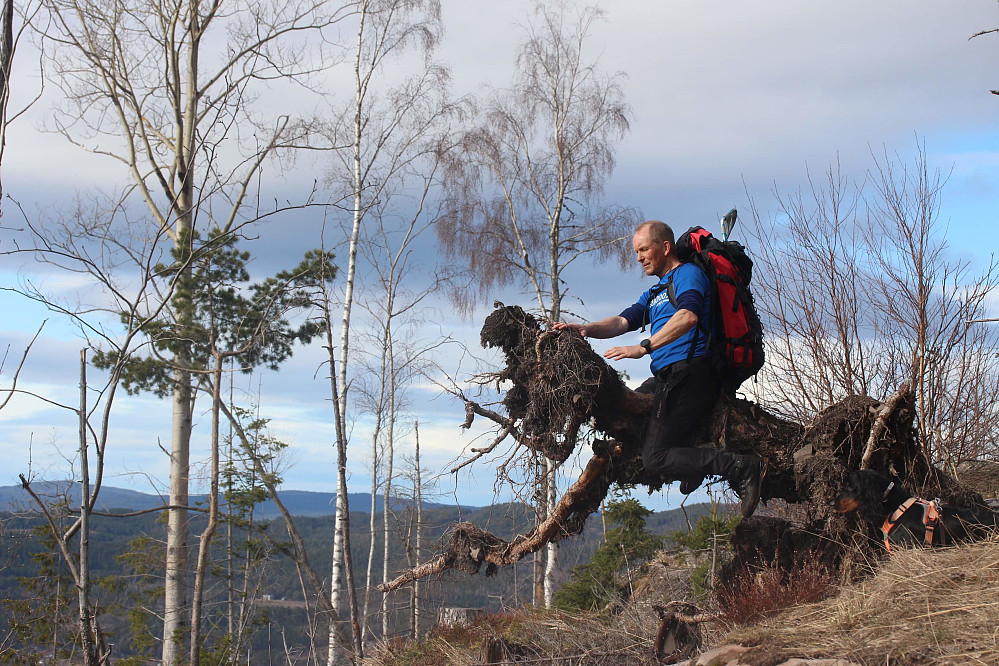 Rider på Fenrisulven