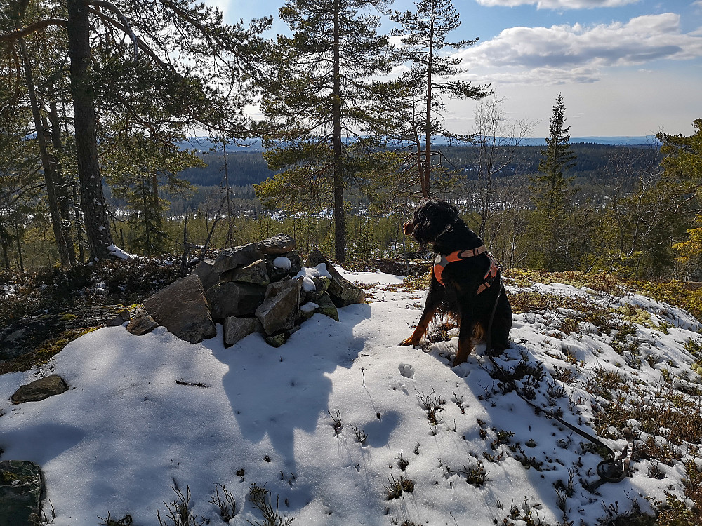 Tyrikampen 