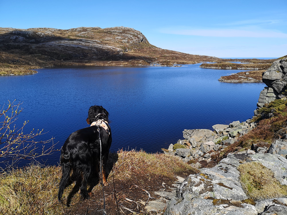 Bløvatnet