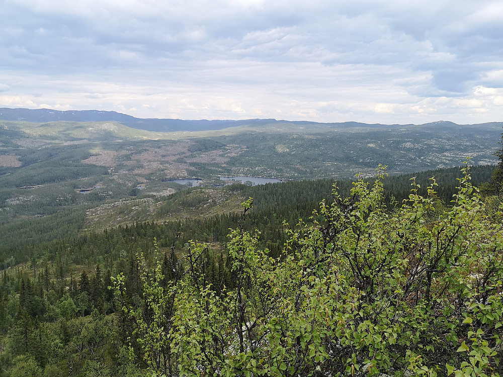 Utsikt østover