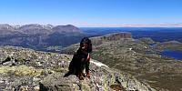 Atomsilda_20210627_60d8df4f34d55.jpg