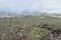 atomsilda_img_0634.jpg